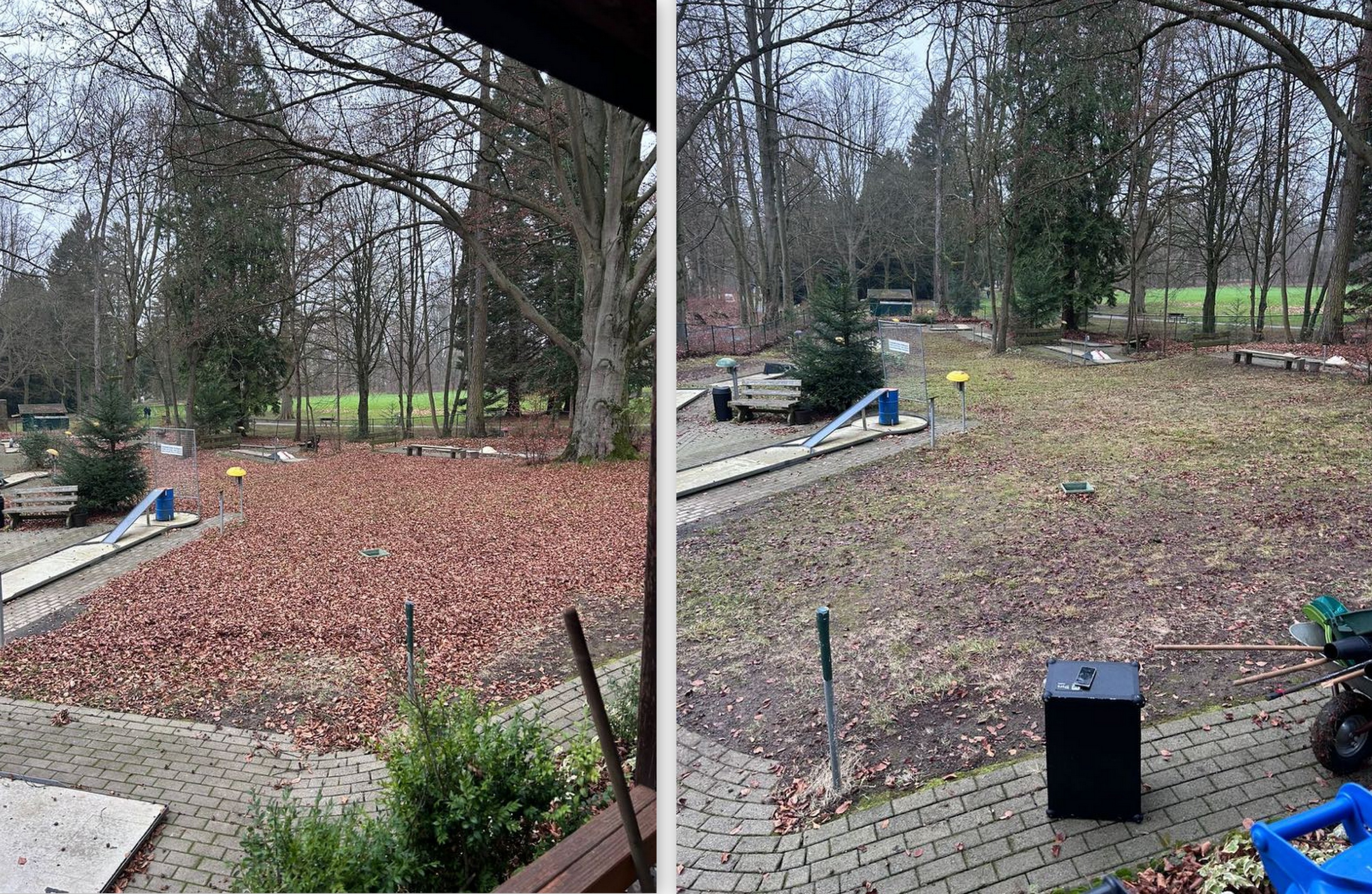 Laub 14. Dezember